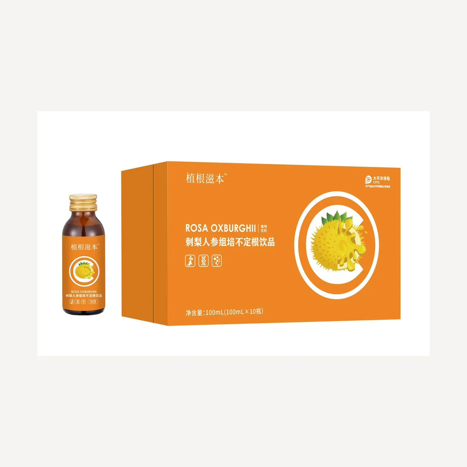 Zhigen Zhiben chestnut-rose and ginseng beverage